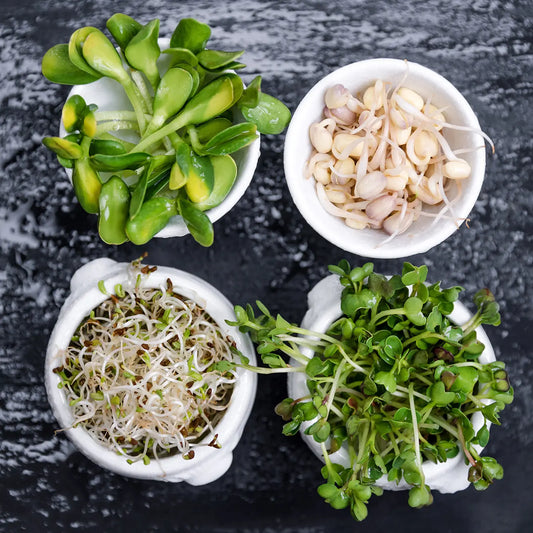 Go-beyond-Veganuary-with-a-whole-earth-kitchen-detox. SoPure Naturally - Eco Friendly Anti Allergen Natural Cleaning Products