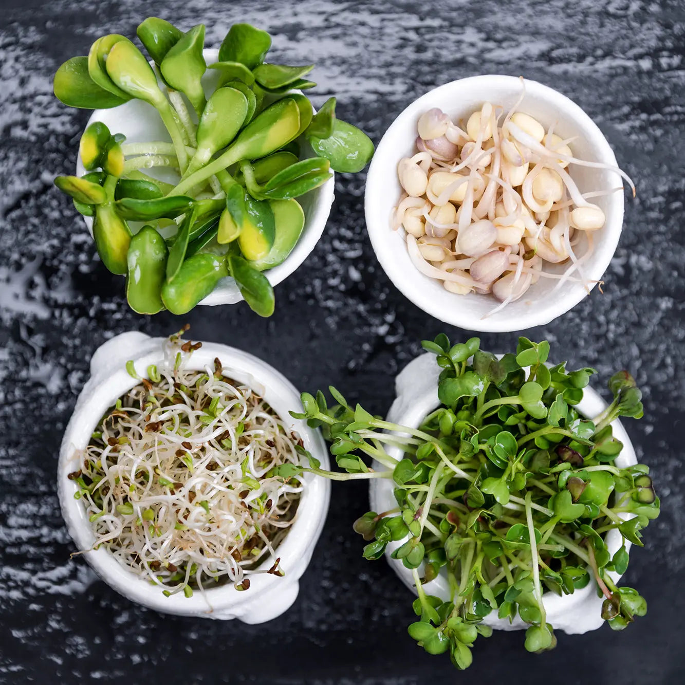 Go-beyond-Veganuary-with-a-whole-earth-kitchen-detox. SoPure Naturally - Eco Friendly Anti Allergen Natural Cleaning Products